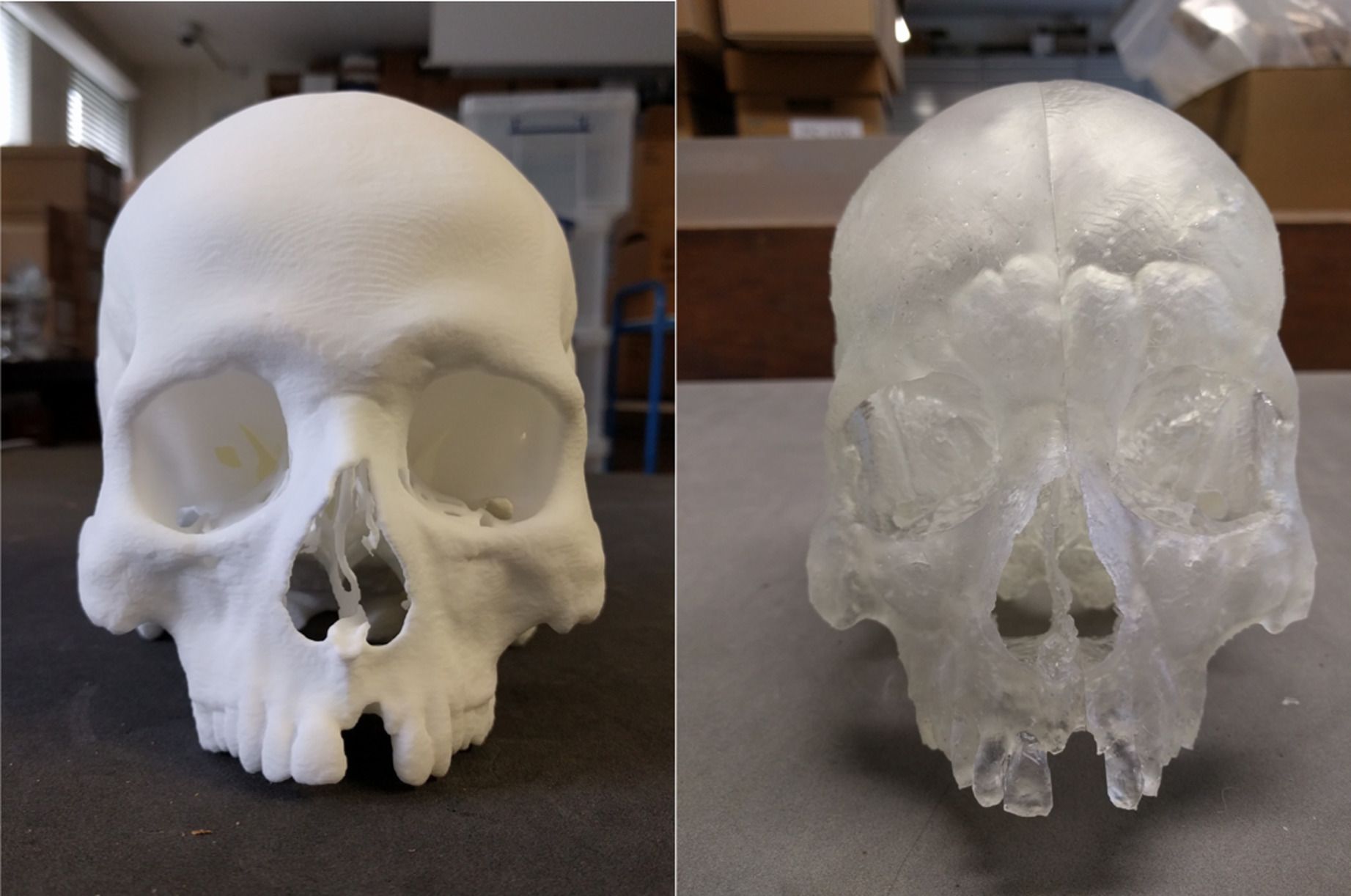 forensic-applications-of-3D-printing-in-education-image